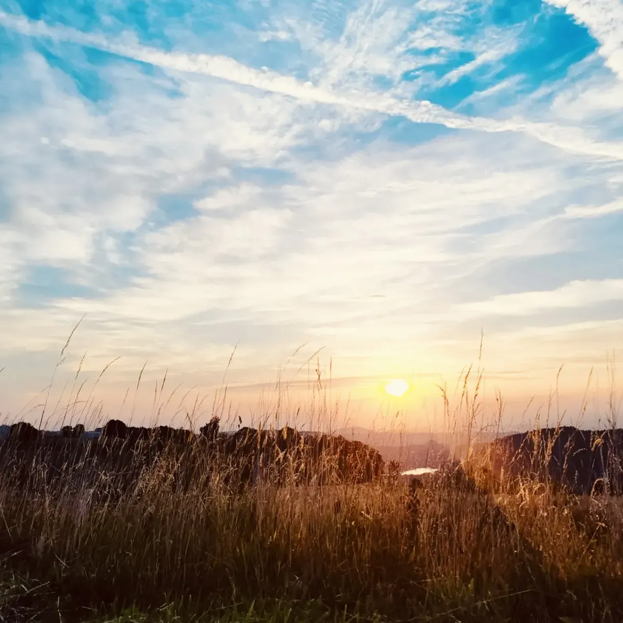 Coucher de soleil sur un paysage rural de champs de blé et de collines.