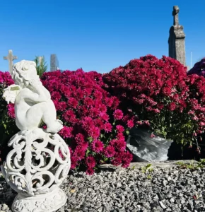 Petite statue d'ange devant des buissons de chrysanthèmes violets.